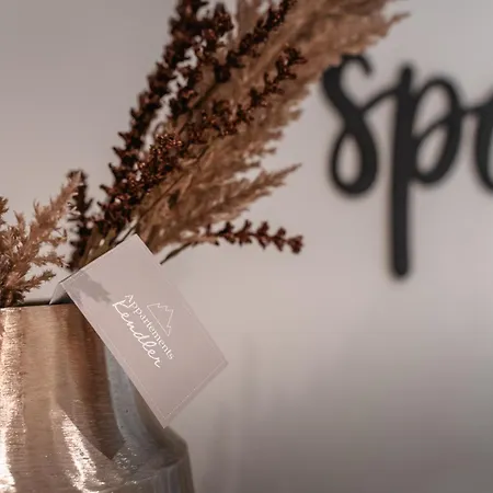 Kendler * Saalbach-Hinterglemm